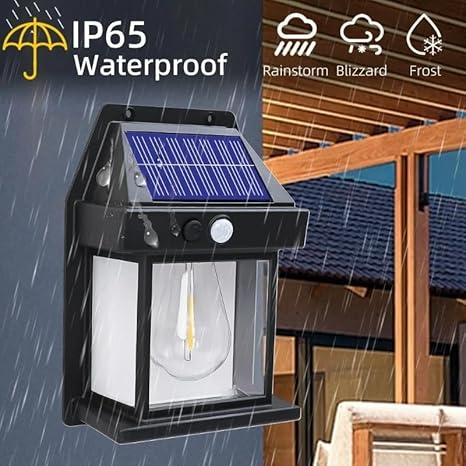 Solar Motion Sensor Wall Light