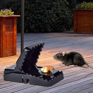 2 Packs – Mouse Trap (Reusable)
