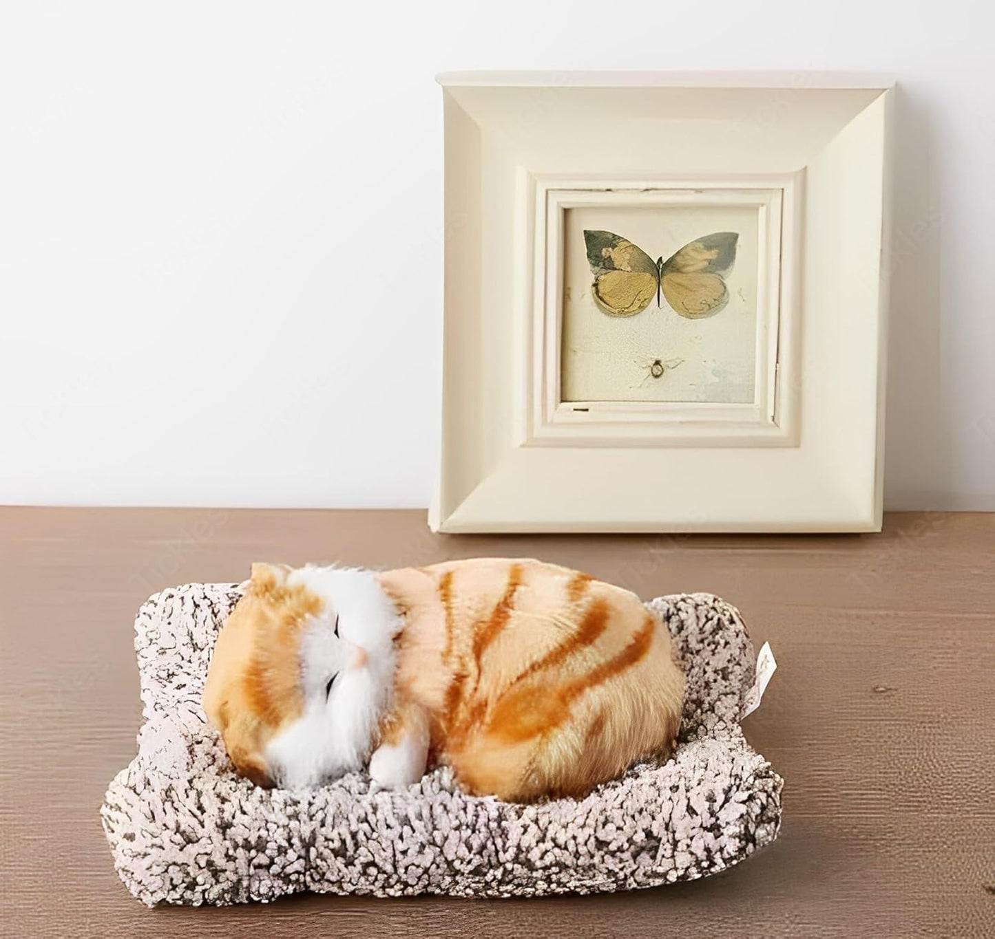 Cute Sleeping Cat Toy | For Car Dashboard & Home Living
