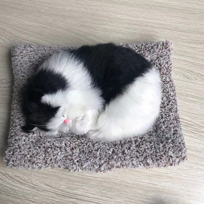 Cute Sleeping Cat Toy | For Car Dashboard & Home Living