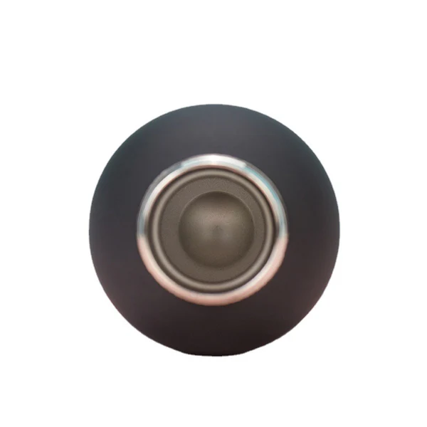 Premium Matte Stainless Steel Bottle